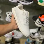 لاگوست سفید (۴۸۶)