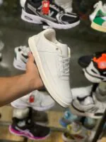 لاگوست سفید (۴۸۶)