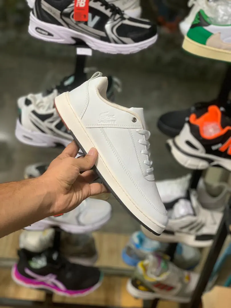 لاگوست سفید (۴۸۶) - Image 2