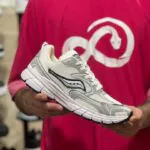 ساکونی سفید طوسی(۵۸۵)